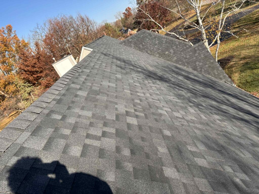 Complete Guide to Wind Damage Prevention in Toledo